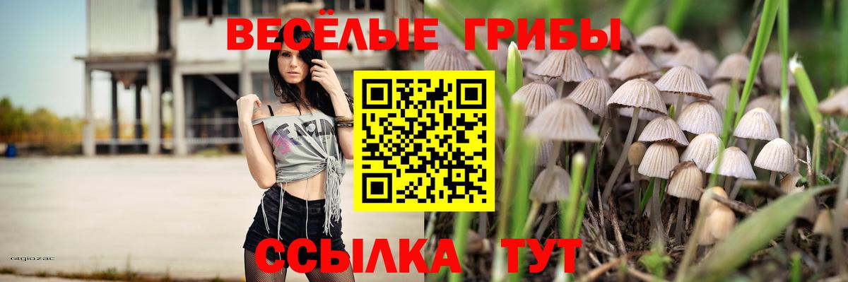 Галлюциногенные грибы мухоморы  Вход с VPN  Костомукша 
